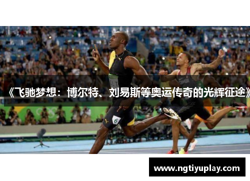 《飞驰梦想：博尔特、刘易斯等奥运传奇的光辉征途》